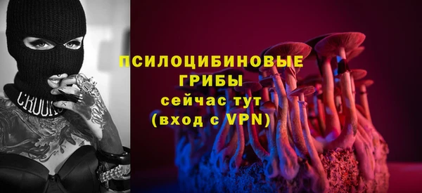 дживик Сосновоборск