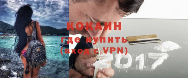 индика Сосновка