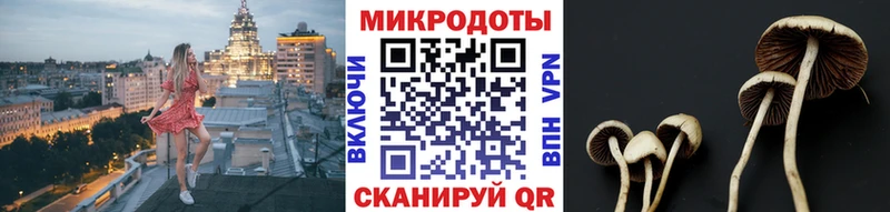 Псилоцибиновые грибы прущие грибы  Реж 