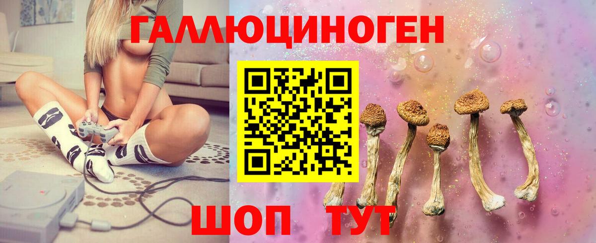 Псилоцибиновые грибы Psilocybe  Вход с VPN  Реж 